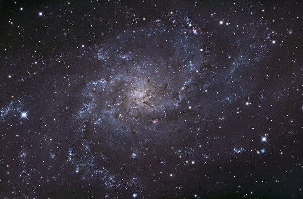 M33