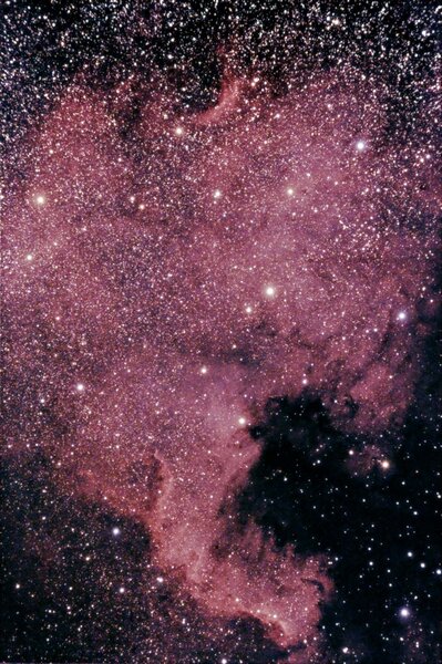Ngc 7000 North America Nebula
