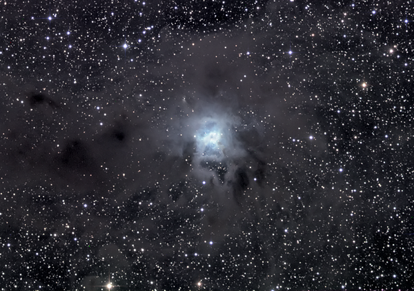 Ngc 7023 - The Iris Nebula
