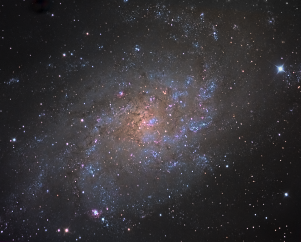 M33