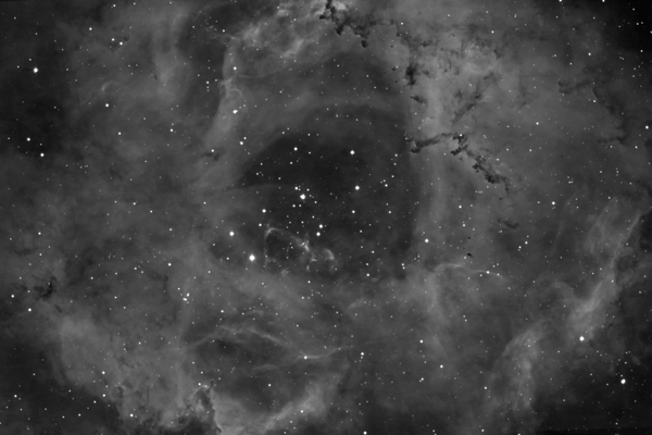 Rosette Nebula