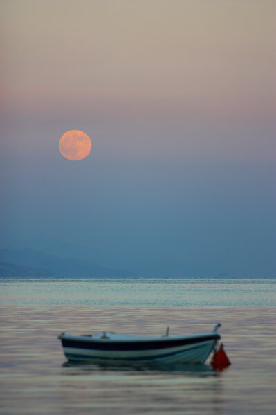 Full Moon - Nov. 21, 2010