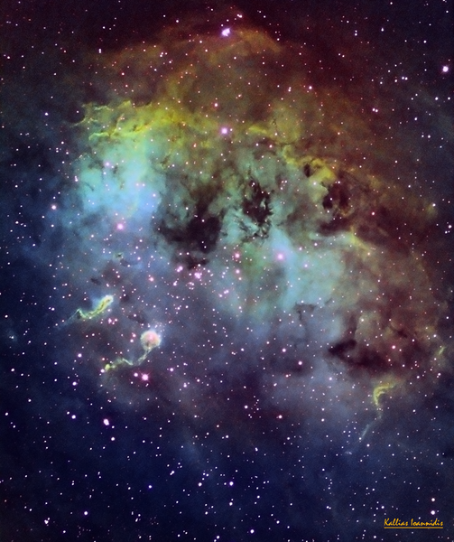 IC 410 (Tadpole)