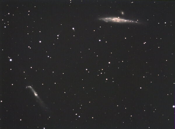 Whale  - Hockey Stick Galaxies