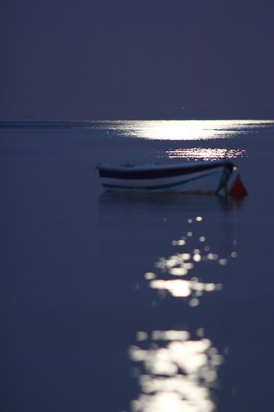 Full Moon Moonlight- Nov. 21, 2010