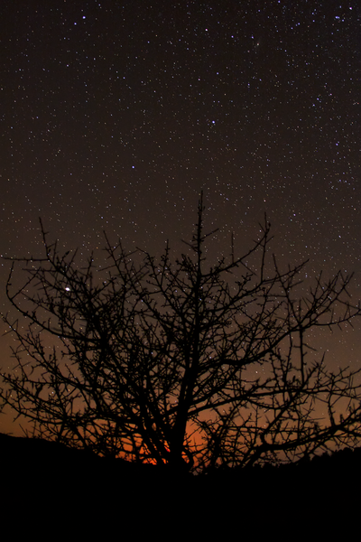 Πηλίδα, Δύση Σελήνης - 13 Νοεμ. 2010