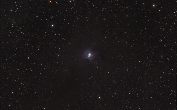 Ngc 7023 - Iris