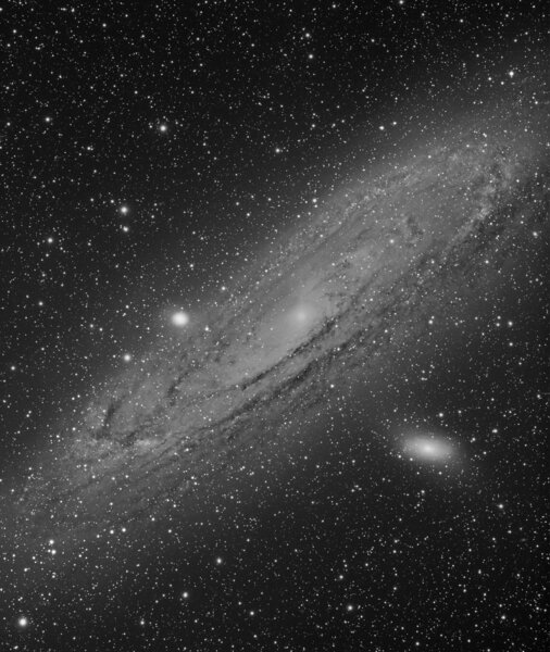 M31