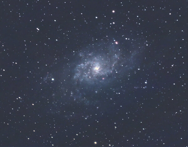 M33