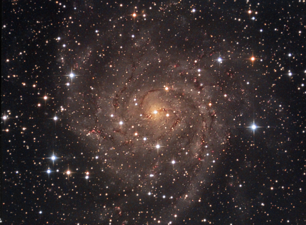Ic 342 Galaxy