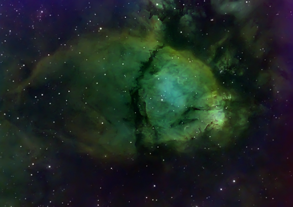 North Bear Nebula (ic 1795) Close Up In Hst Palette