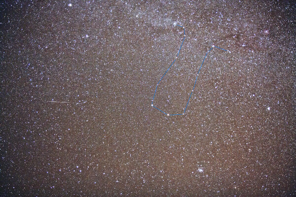 Geminids 2010