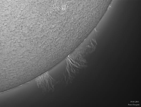 Prominences οn SW Limb Disk...19-01-2011