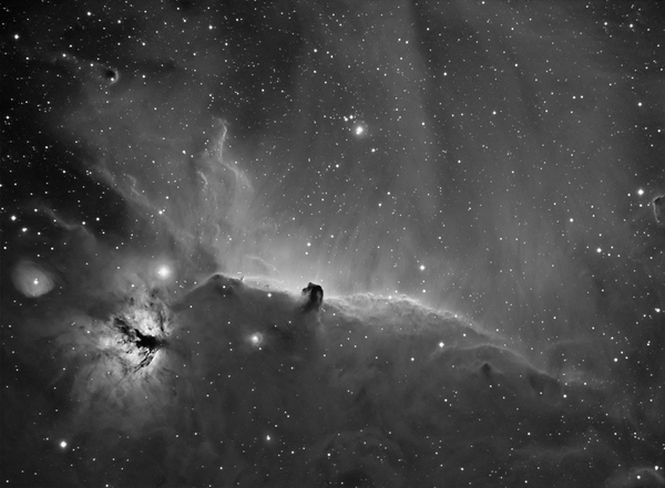 Ic 434 - The Horse Head Nebula (widefield Ha)