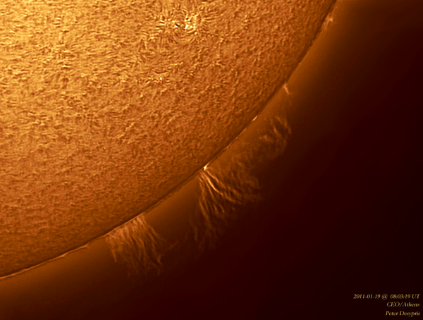 PROMINENCES on SW Limb disk
