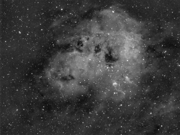 Ic410 Tadpoles Nebula