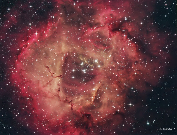 Rosette Nebula