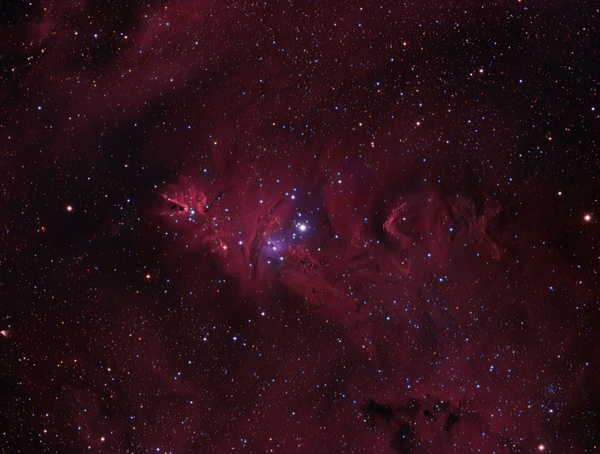 Ngc - 2264: Christmas Tree - Fox Fur - Cone Nebula (hargb)