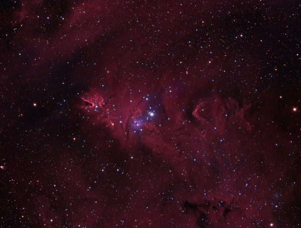 Περισσότερες πληροφορίες για το "Ngc - 2264: Christmas Tree - Fox Fur - Cone Nebula (hargb)"