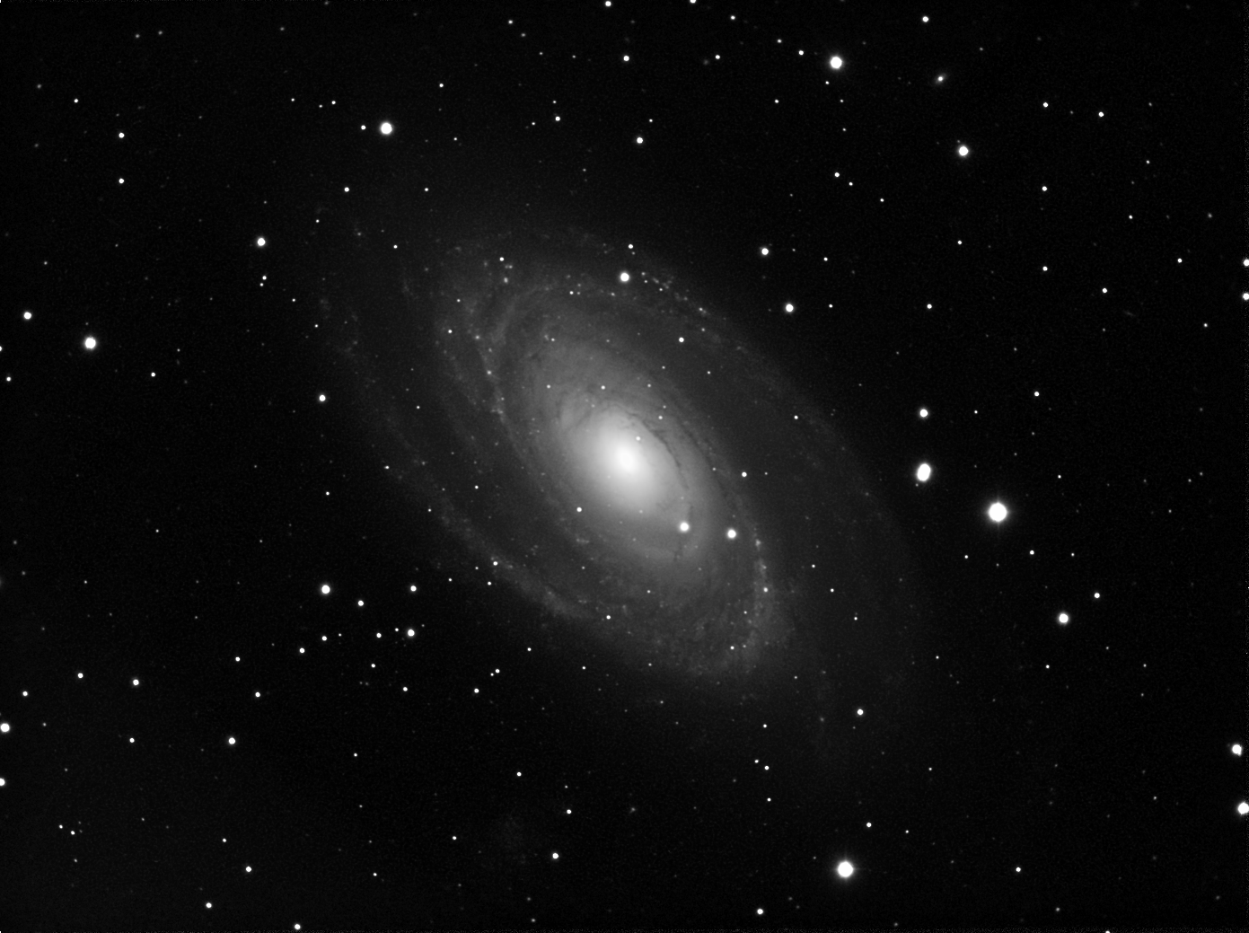 M81 Luminance