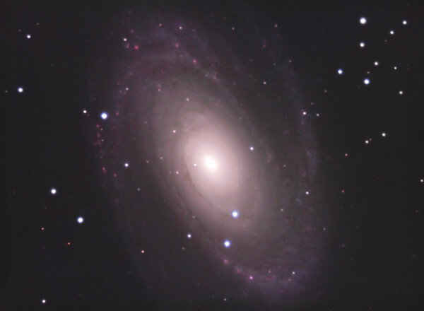 M 81