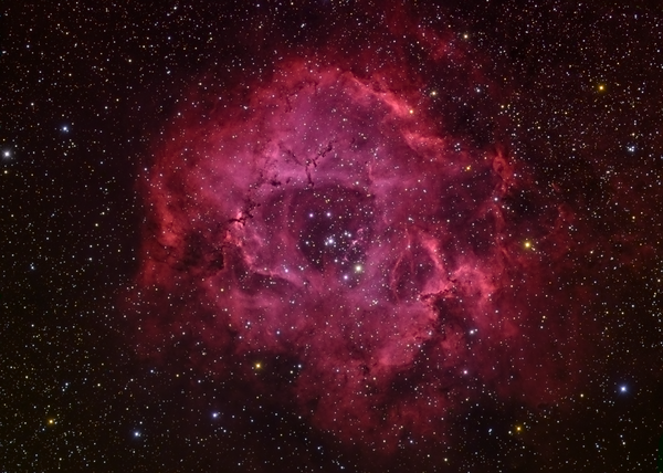 Rosette Nebula Halrgb