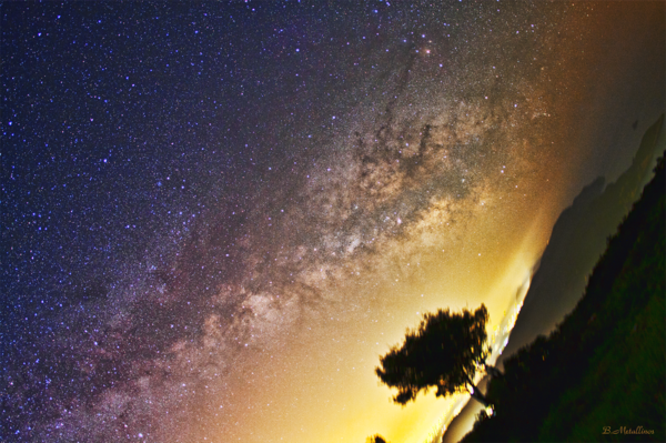 Δέντρο, Νυχτερινός ουρανός πάνω απο την Παλαιοκαστρίτσα