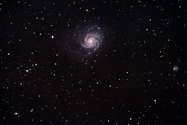 M101