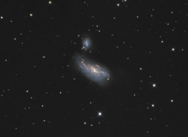 Ngc 4490(cocoon Galaxy)
