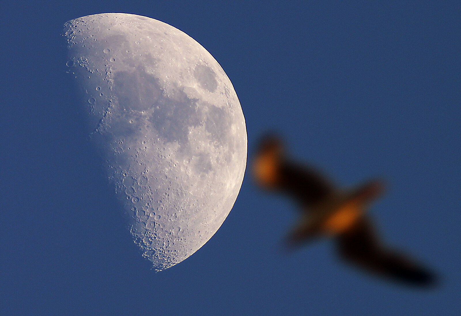 Moon And Bird Flyby 9-june-2011 Crop