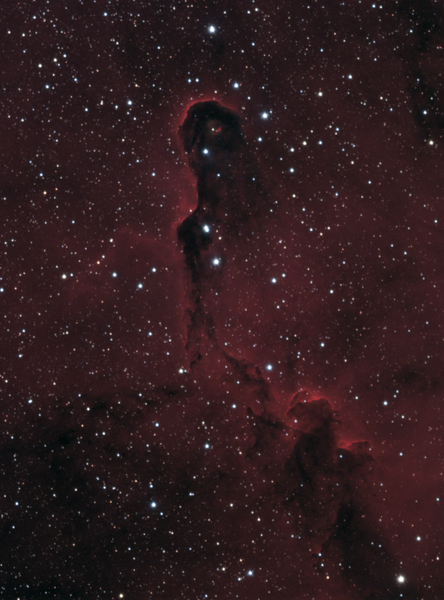 Ic 1396 - Elephant's Trunk Nebula In Hargb