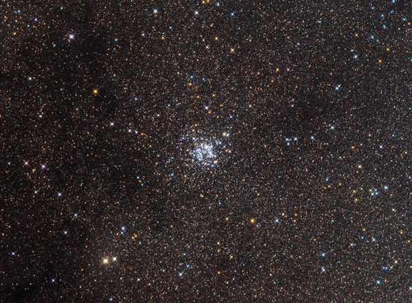 Wild Duck Cluster