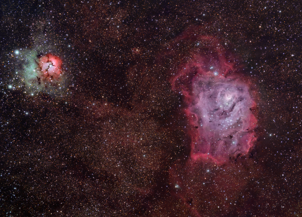 Trifid & Lagoon