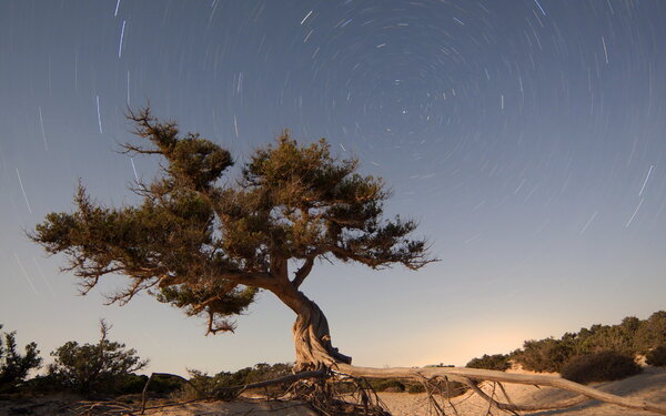 Περισσότερες πληροφορίες για το "Startrails στη Χρυσή!"