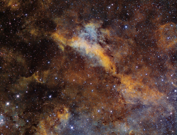 Ic : 1318a - The Dolphin Nebula (hubble Palette)