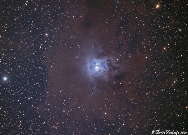 Ngc7023 Iris Nebula
