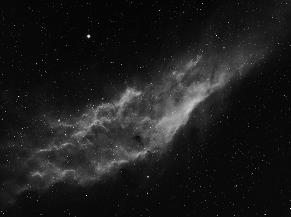 Ngc 1499(california Nebula)