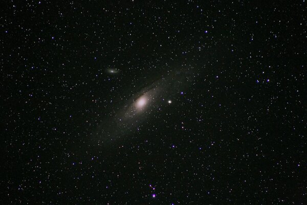 M31