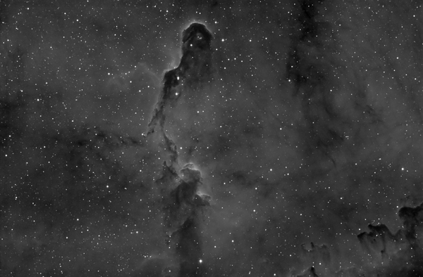 Elephant's Trunk Nebula