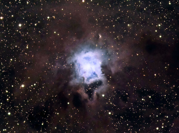 Ngc7023 Iris