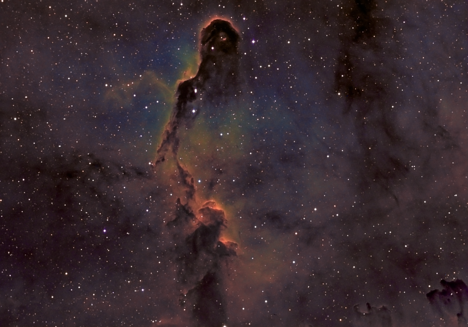 Elephant's Trunk Nebula Ic1396