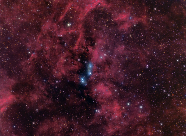 Περισσότερες πληροφορίες για το "Lbn 292 - Ngc 6914 & Vdb 131 (hargb)"