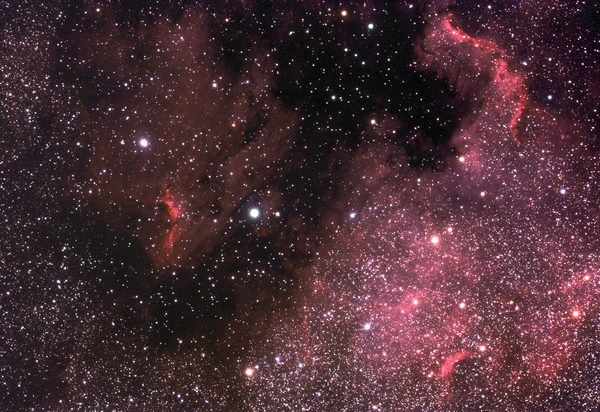 Pelican & Ngc 7000