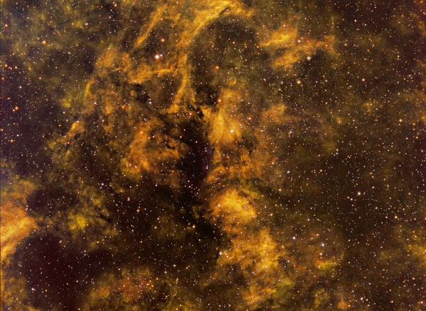 Lynd's Bright Nebula 292
