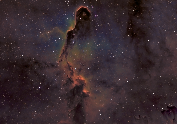 Elephant's Trunk Nebula Ic1396