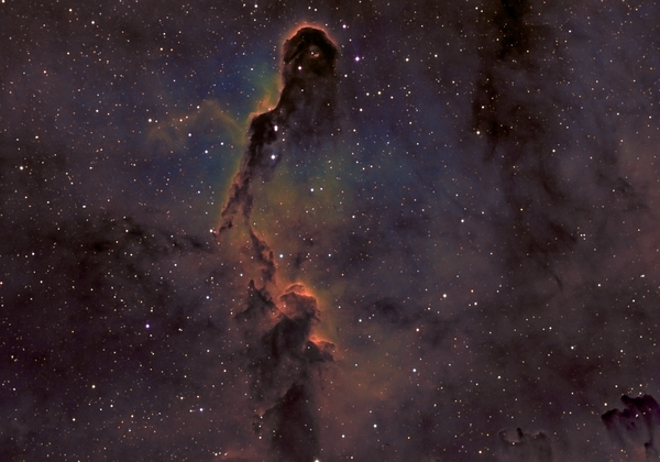 Περισσότερες πληροφορίες για το "Elephant's Trunk Nebula Ic1396"