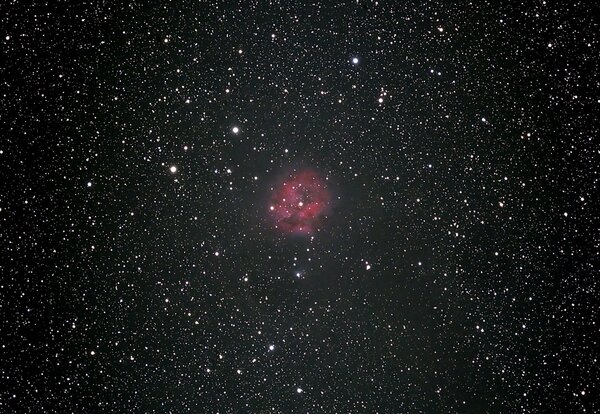 Cocoon Nebula Ic 5146