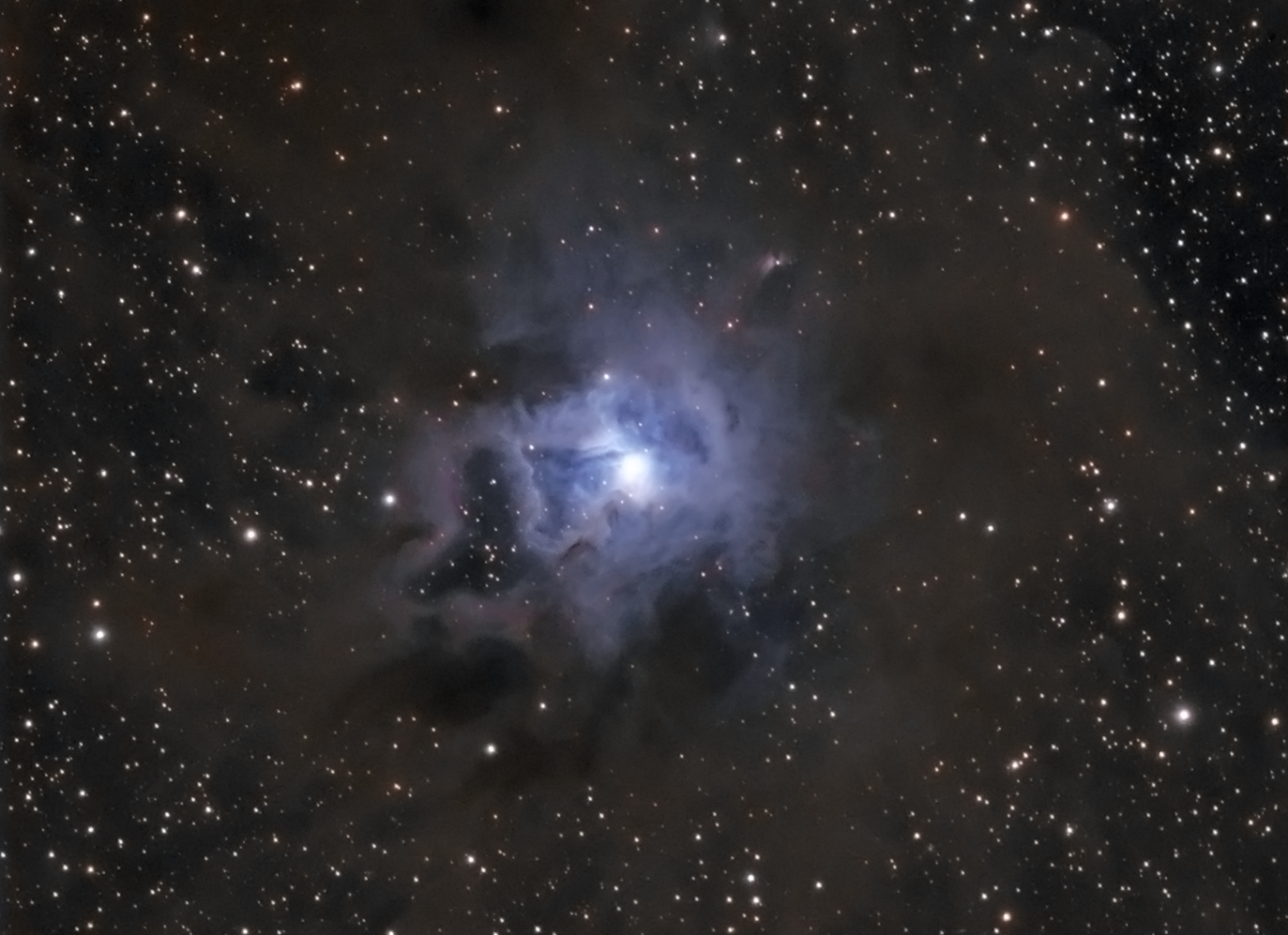 Ngc 7023 - Iris Nebula In Lrgb