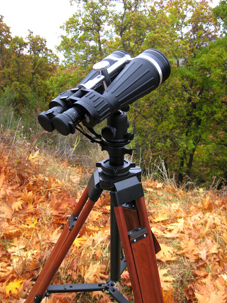 Helios Quantum 4 20x80 Binoculars