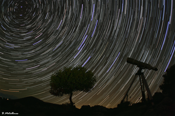 Tree & Telescope - Startrails